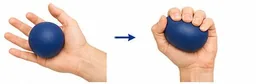 Hand & Finger Motion exercise