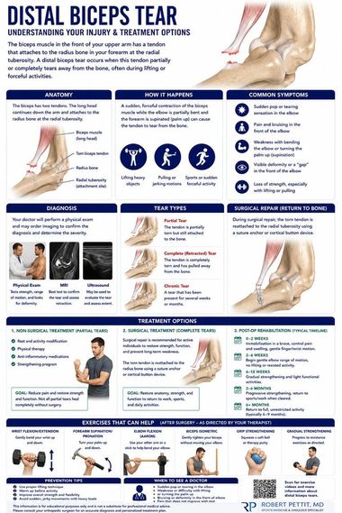Distal Biceps Tendon Tear infographic — Robert Pettit, MD